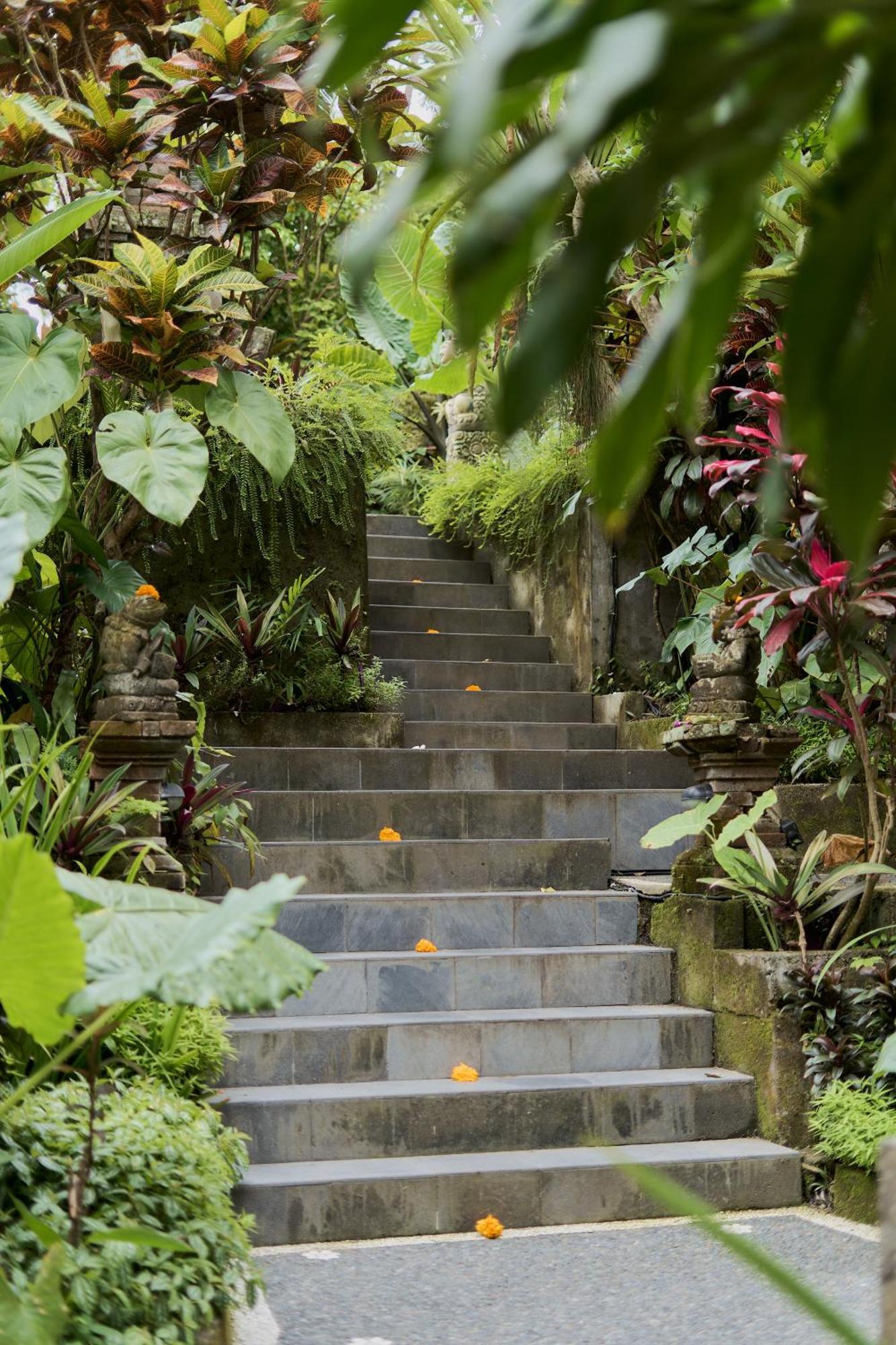 Sama's And 3* Ubud